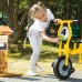 Wisdom Small Trike