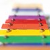 Wooden Xylophone 8 Note Musical Instrument 21cm