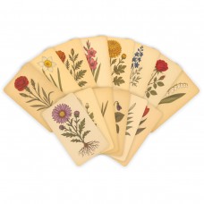 Botanical Rubbing Plates Botanical Rubbing Plates