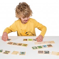 Life Cycles Puzzle