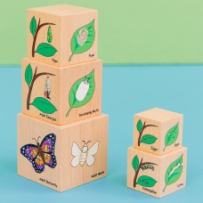 Life Cycle Wooden Blocks Life Cycle Wooden Blocks