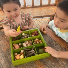 Nature's Sorting Box Nature's Sorting Box