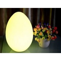 Egg 32cm Colour Change LED Light Up Shape