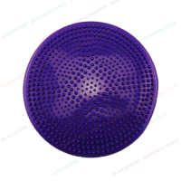 Purple Balance Wobble Cushion